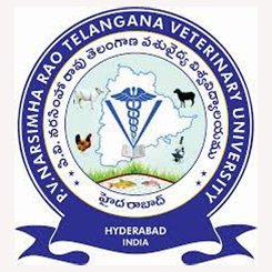 P.V. Narsimharao university logo
